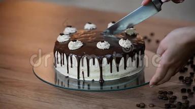 切蛋糕，奶油蛋糕，切蛋糕，甜点，生日派对，巧克力蛋糕
